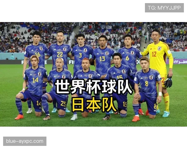 日本世界杯整体竞争力排行
